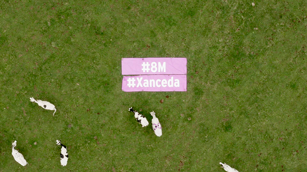 VACAS DE XANCEDA EN EL 8M